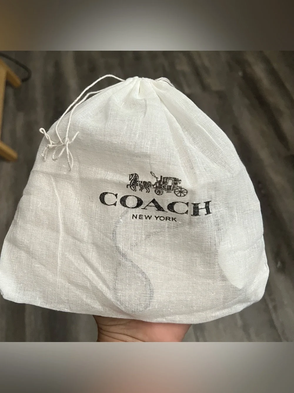 Y2k NWT Coach Poppy Metallic Champagne Wristlet Pouch